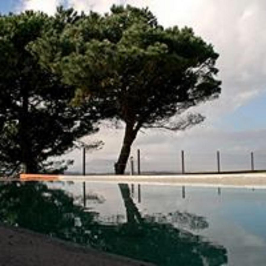Shepinetree - Pinheira Hotel Vale de Lobos ภายนอก รูปภาพ